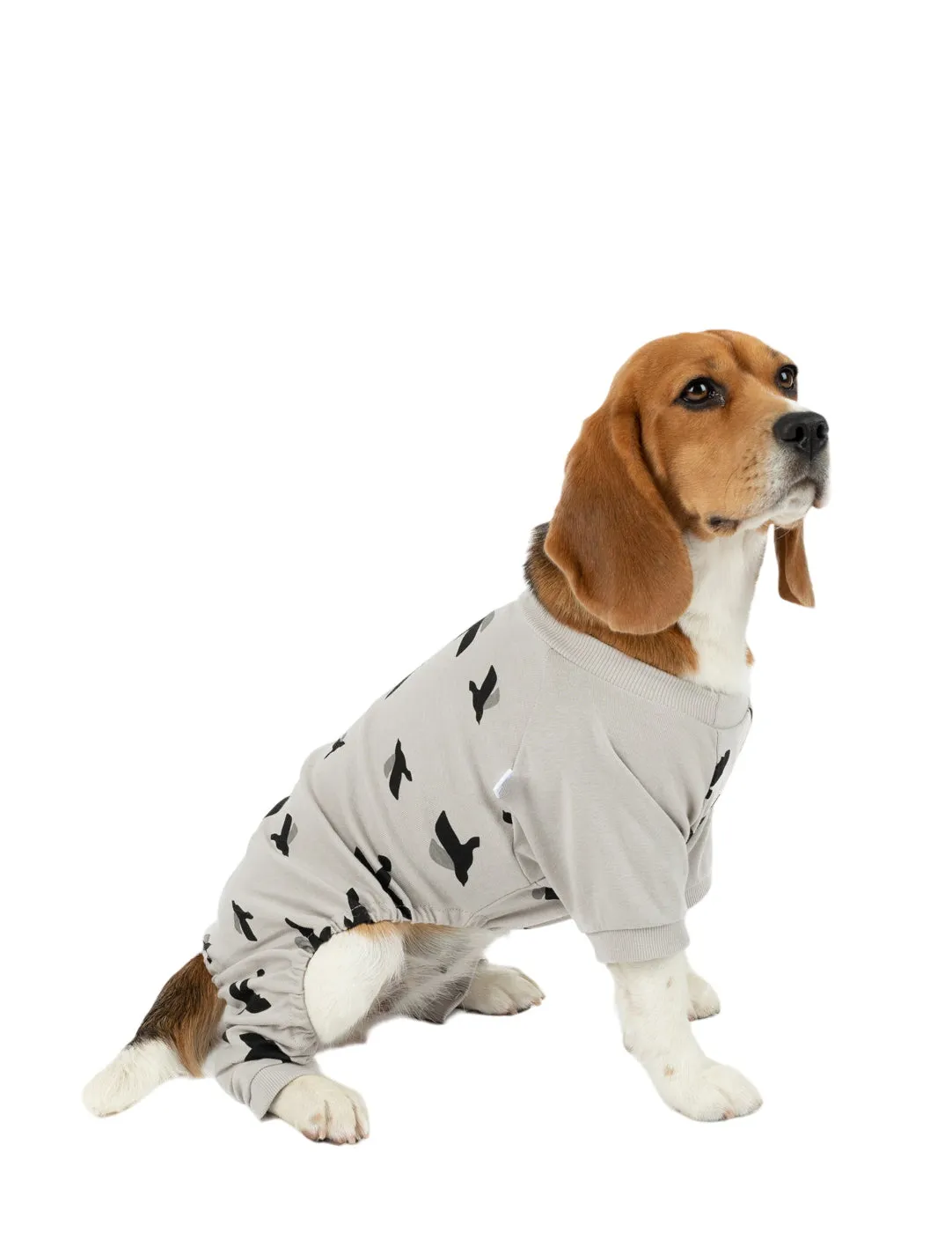 Dog Grey Bird Pajamas